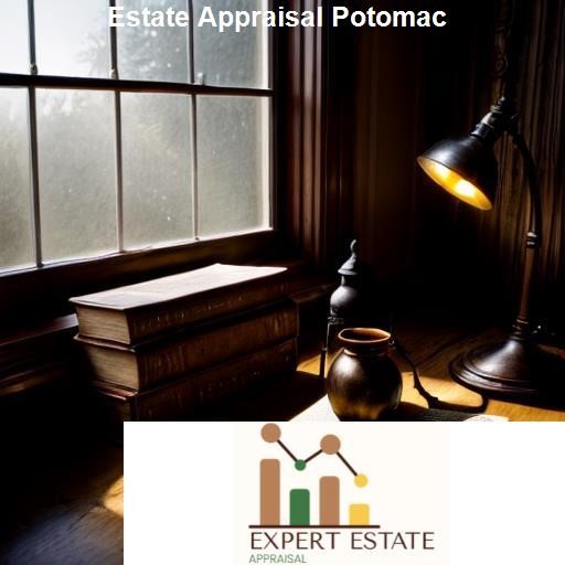 A Deep Dive into Estate Appraisal - Expert Estate Appraisal Potomac