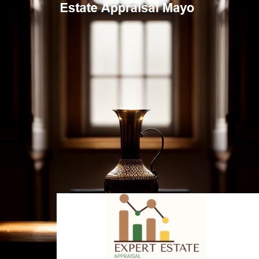 Choosing the Right Estate Appraiser in Mayo - Expert Estate Appraisal Mayo