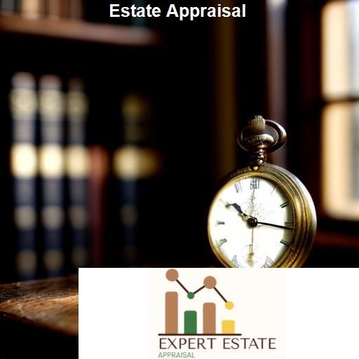 Common Mistakes in Estate Appraisal - Expert Estate Appraisal 