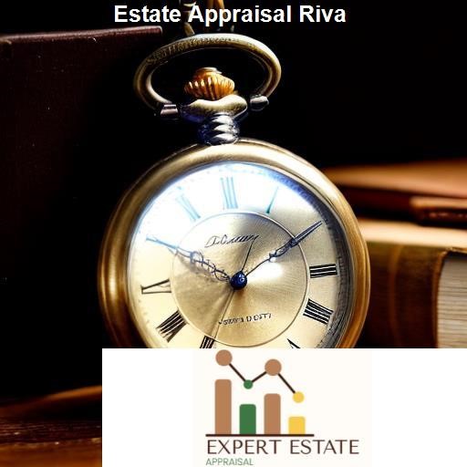 Preparing for an Estate Appraisal in Riva - Expert Estate Appraisal Riva