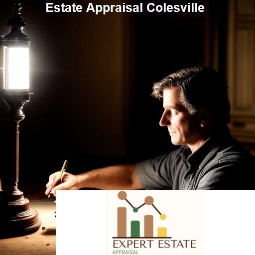 The Process of Estate Appraisal in Colesville - Expert Estate Appraisal Colesville