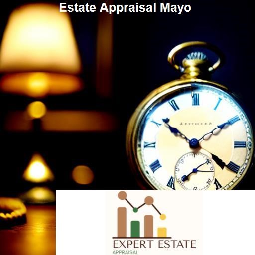 Understanding Estate Appraisal - Expert Estate Appraisal Mayo